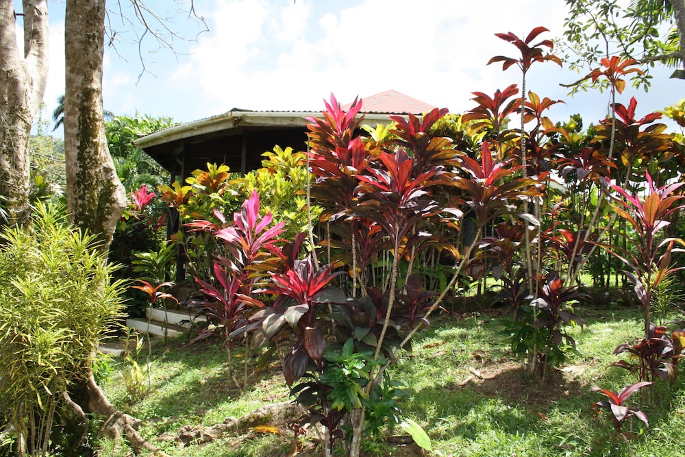 Hibiscus Valley Inn 3/50