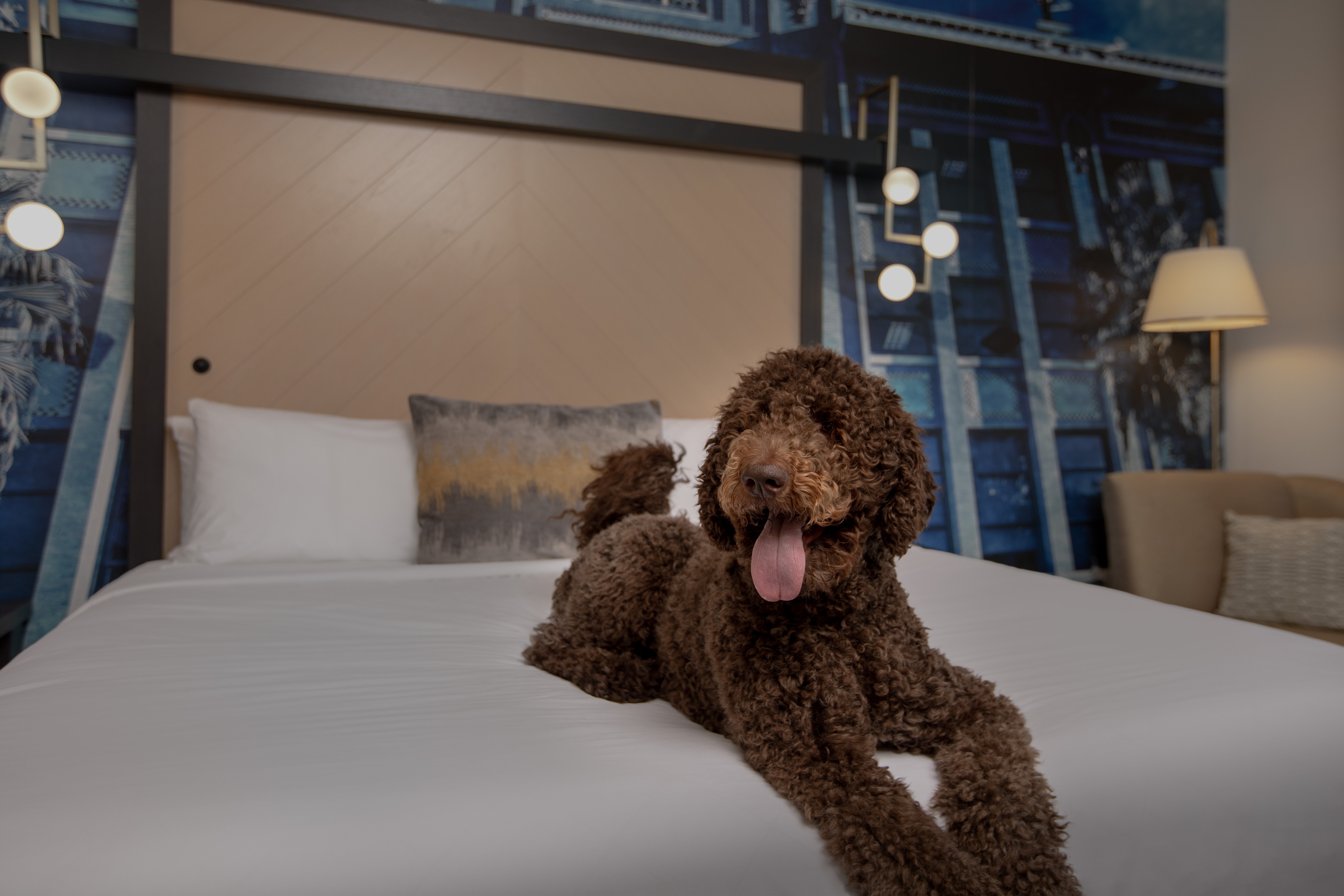 Hotel Indigo Jacksonville Deerwood Park 27/77