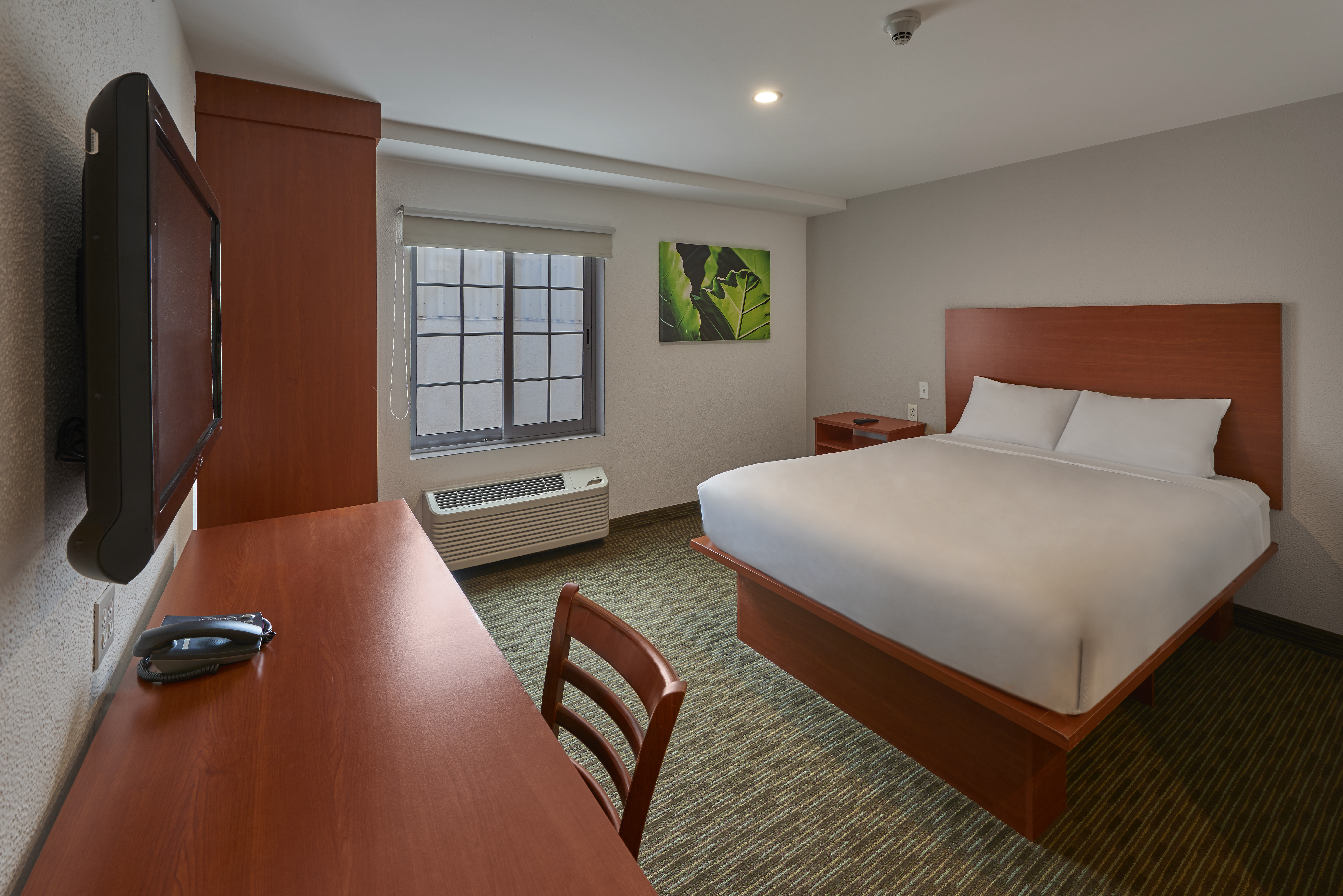 SUITE, QUEEN BED
