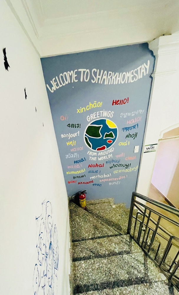 Shark Hotel - Hostel photo2