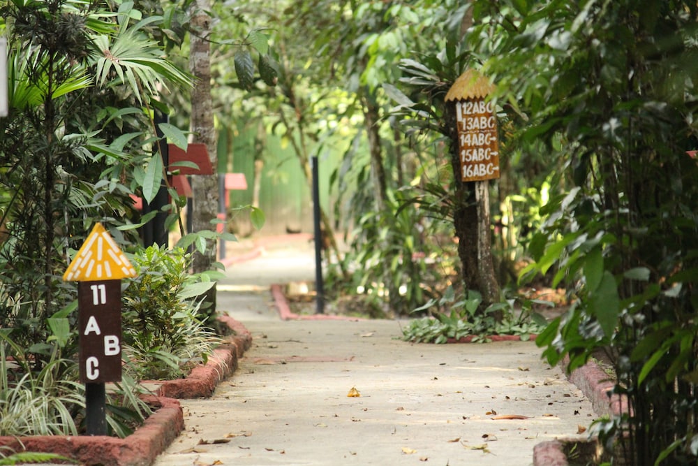 Amazon Ecopark Jungle Lodge 39/50