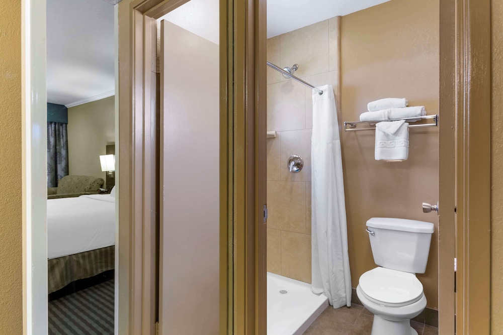 غرفة قياسية بسرير كينج مع أريكة، Royal Sun Inn & Suites 5/8