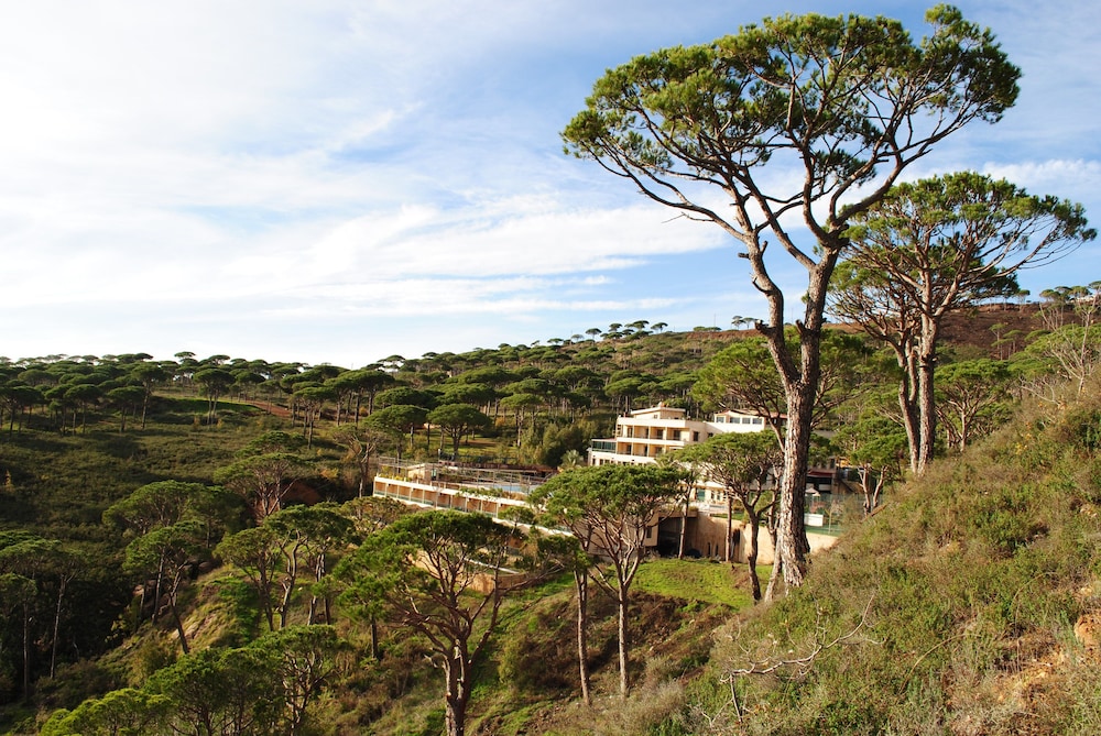 Pineland Hotel & Health Resort 48/59