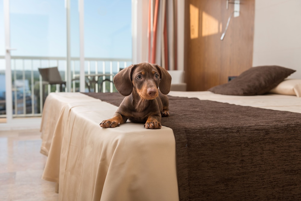 Hotel Torre Azul & Spa - Adults Only 18/43