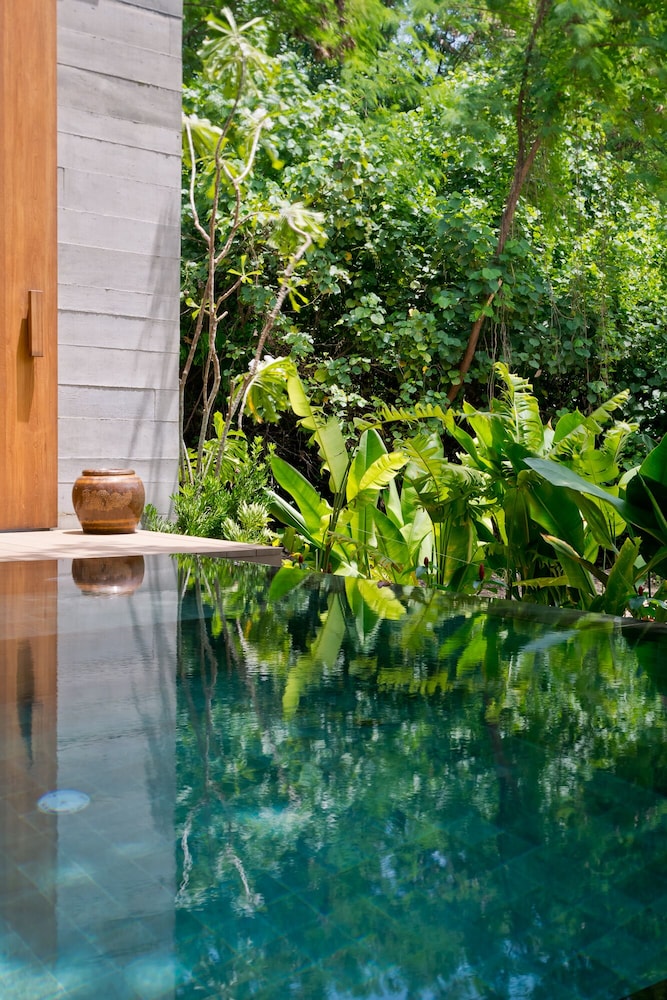 Cape Pakarang Wow Wild Wellness Escapes 41/50