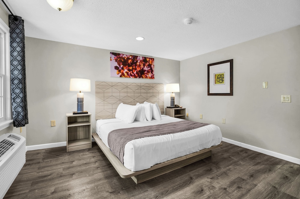 Basic, Single, King Bed, Accessible