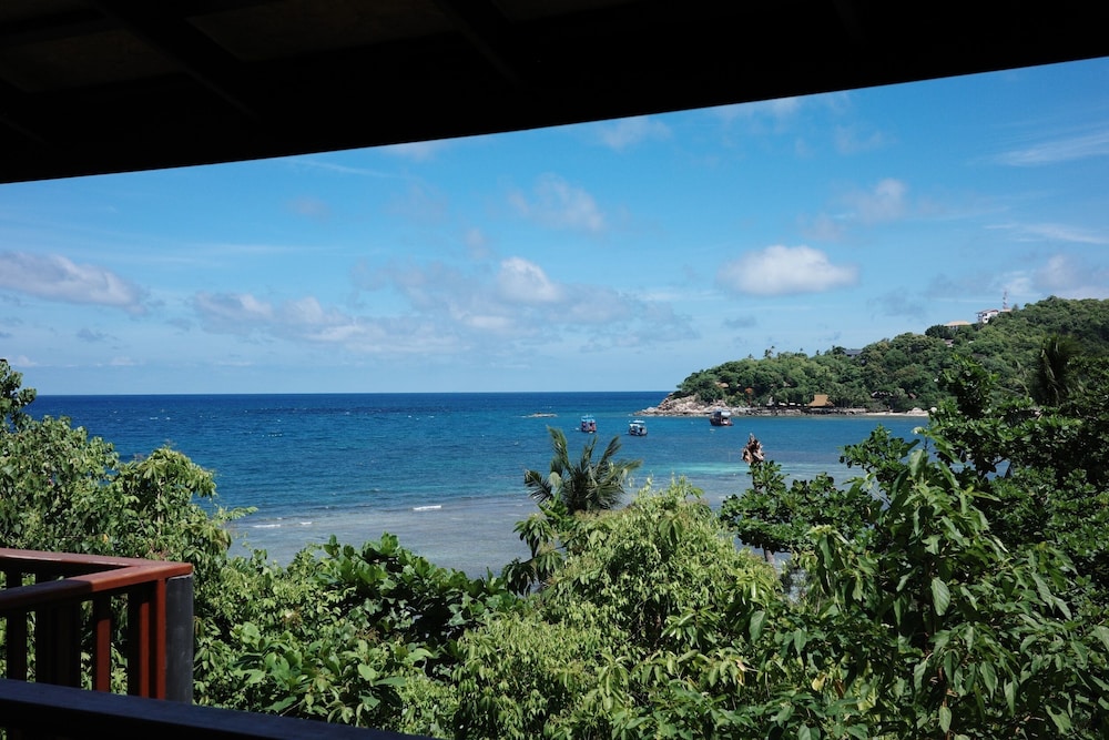 Freedom Beach Resort 41/50