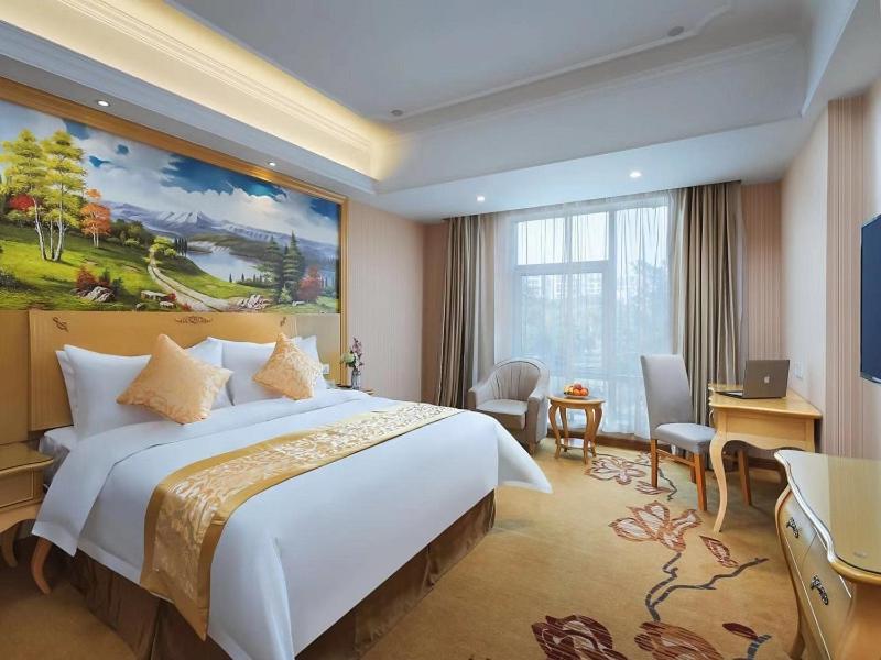 Vienna Hotel (Nanjing Olympic Sports Center) 13/26