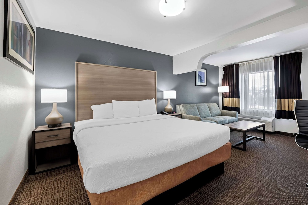 SUITE, KING BED