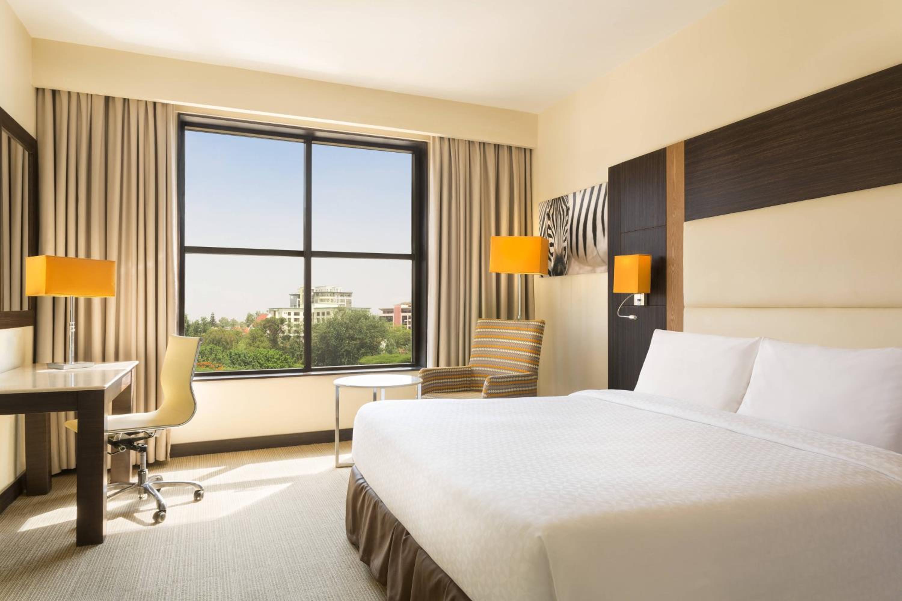 Guest Room, Classic, King Bed, Queen Murphy Bed