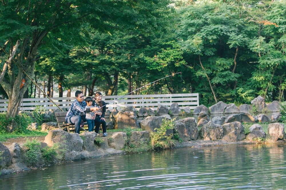 Pica Fujisaiko 14/20