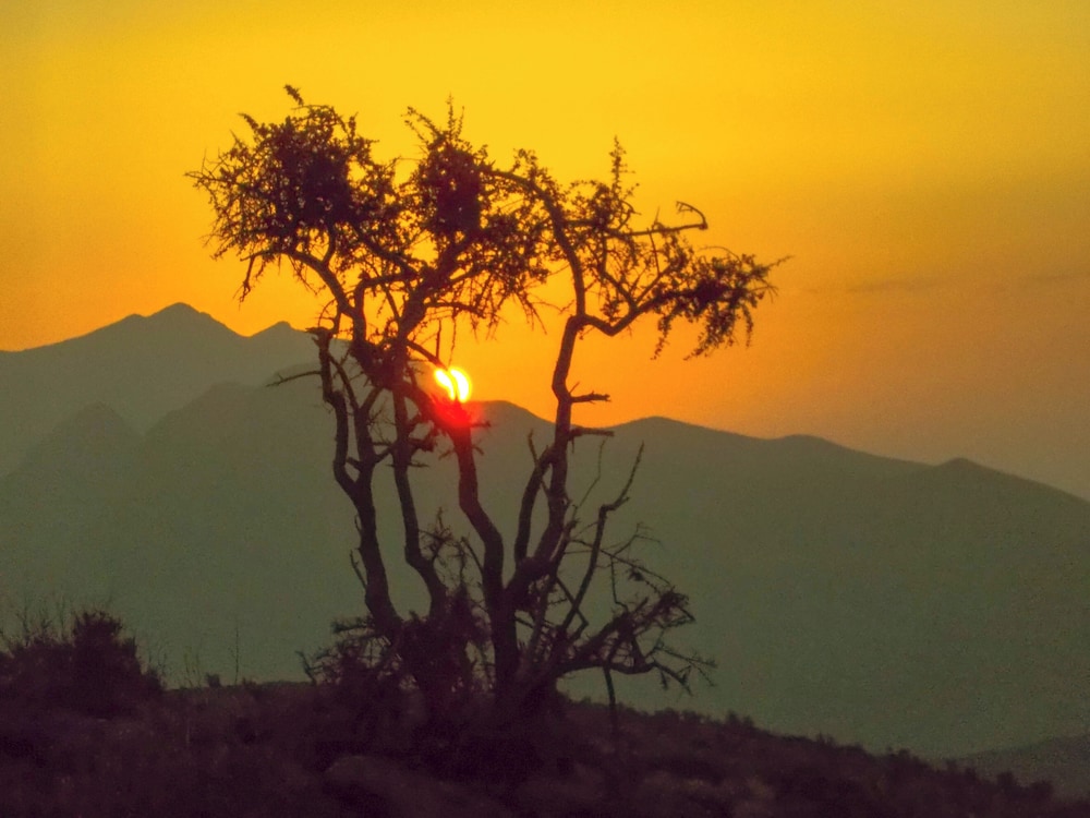 Sama Heights Resort Jebel Shams 44/50