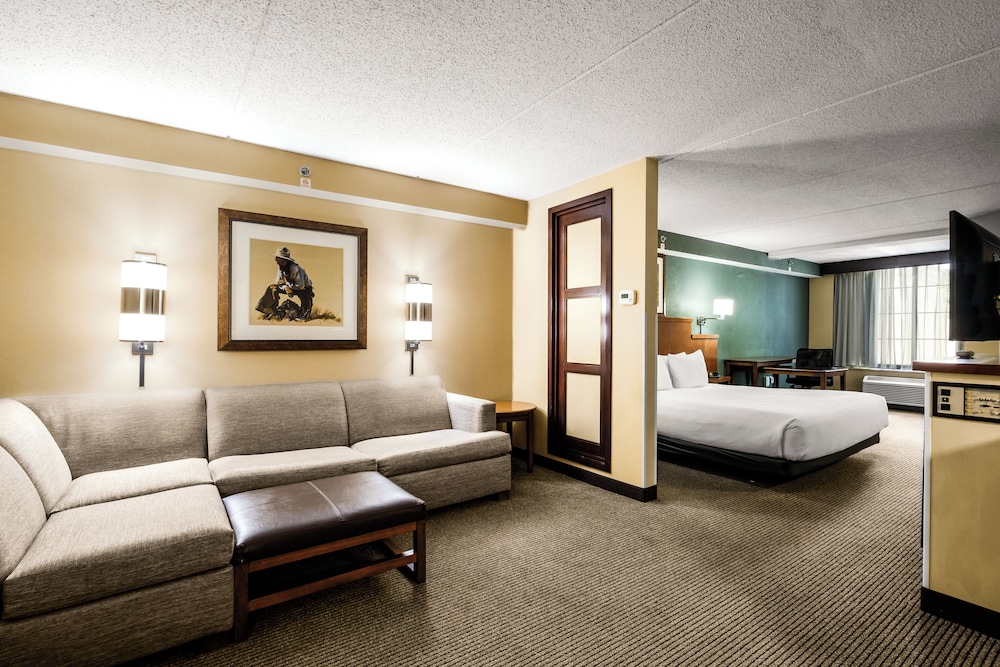 ROOM, KING BED, ACCESSIBLE