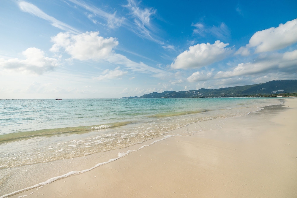 Muang Samui Spa Resort 66/66