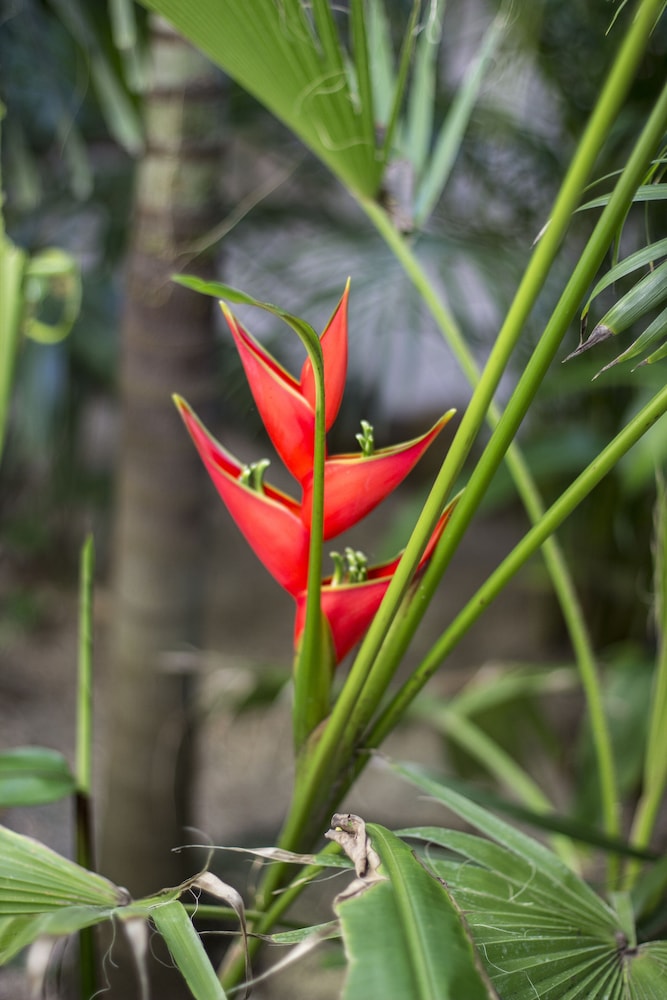 Orchid House Tulum 21/50