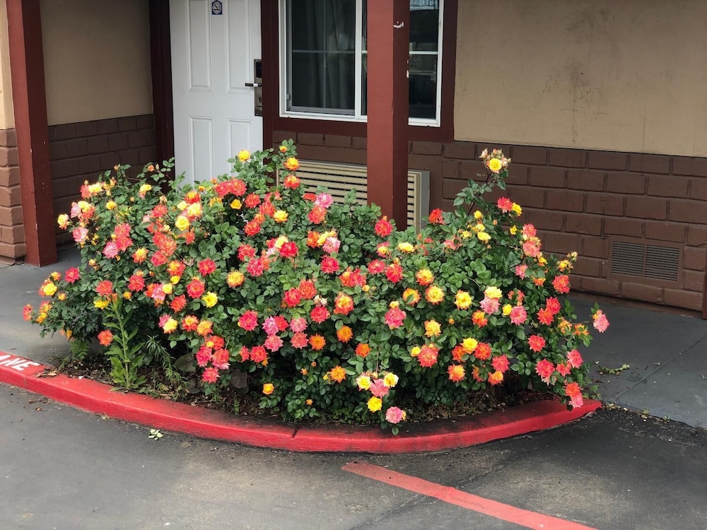 Haven Inn Of Chico 38/47