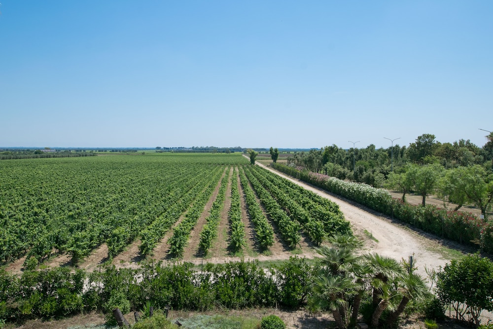 Masseria Mazzetta Salento 40/48
