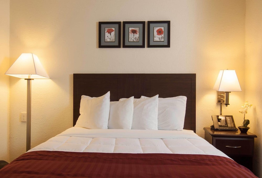 Sleep Inn Jacksonville Airport 14/55