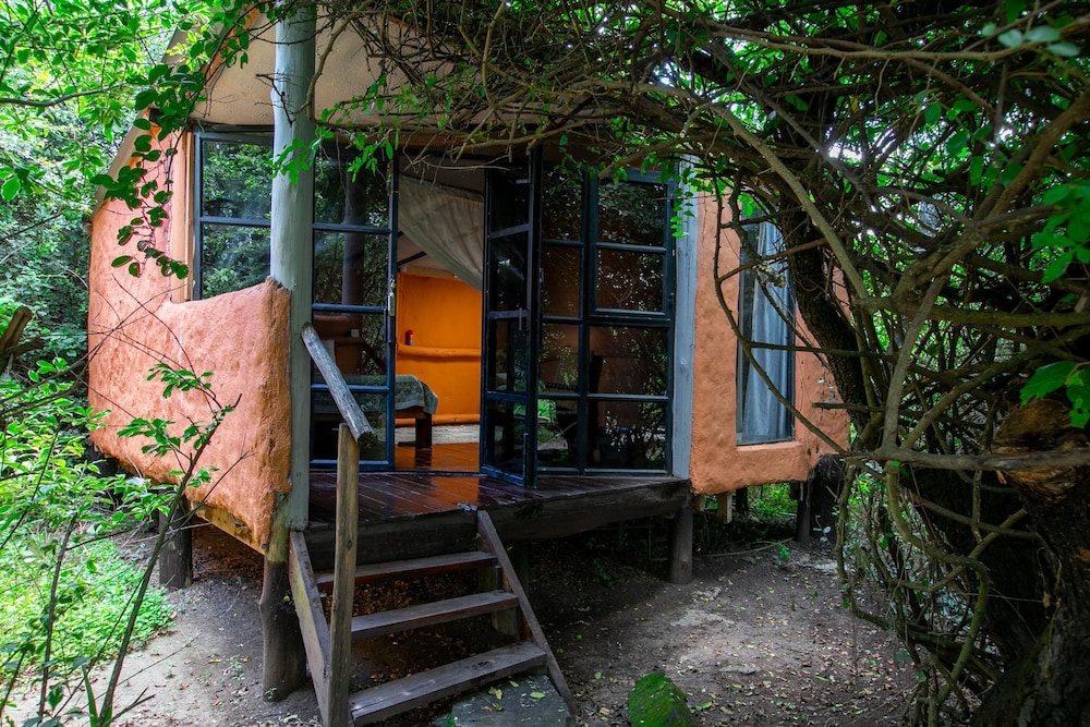 Punda Milias Camp Nakuru 6/50