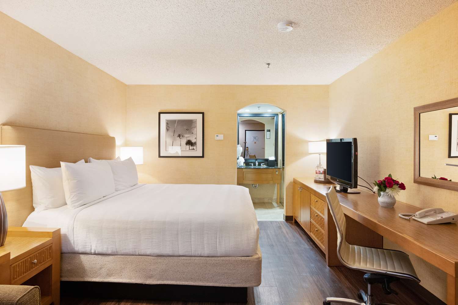 Best Western Plus Las Brisas Hotel 12/40