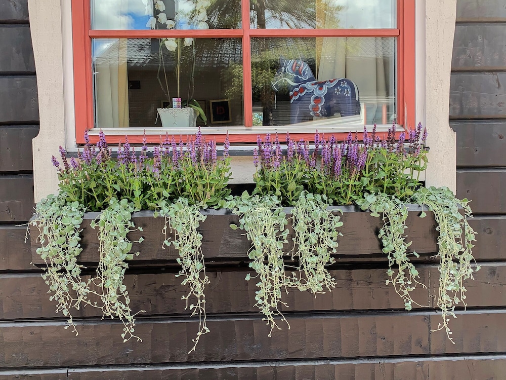 Gammelgarden Hotell 12/44
