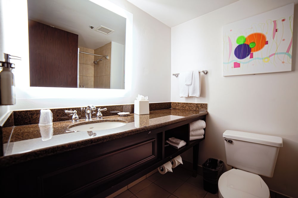 Holiday Inn Irving - Las Colinas, an IHG Hotel 63/64