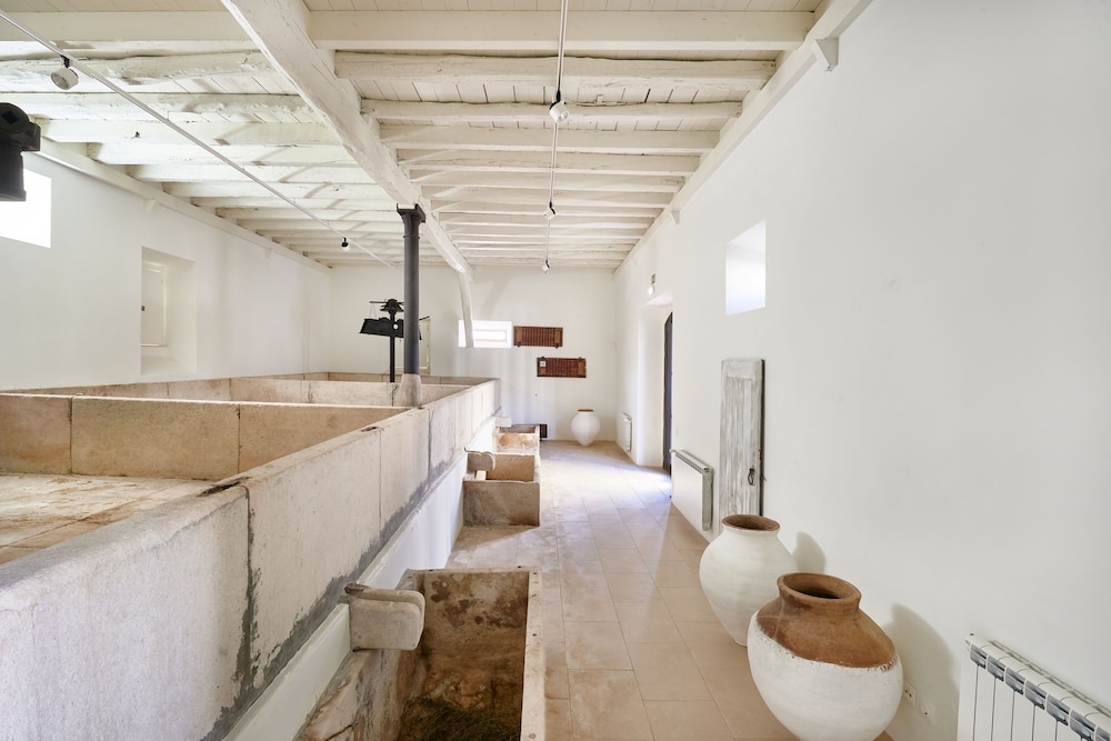 Quinta do Porto Nogueira by Romana Vini 24/50
