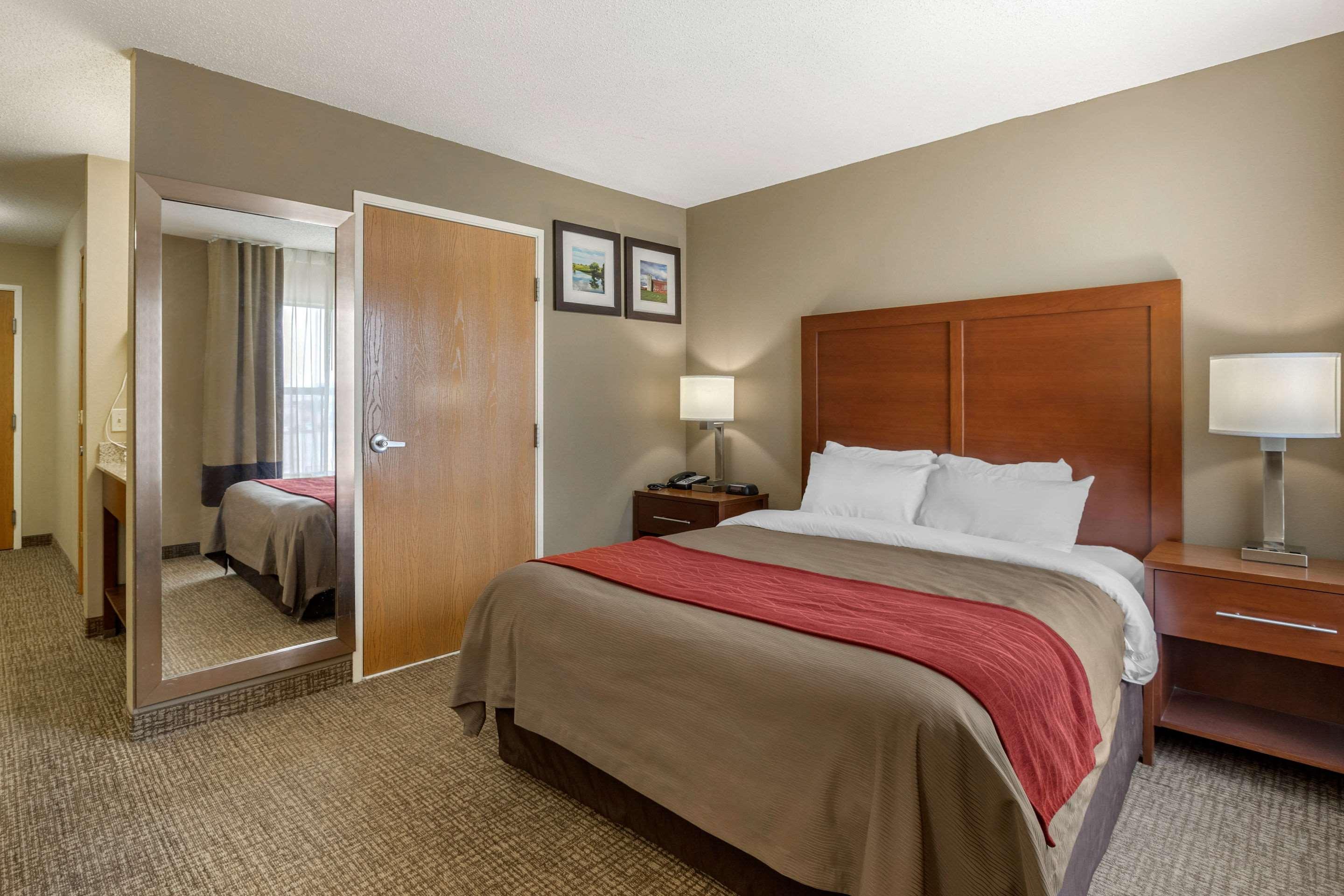 Room, Queen Bed