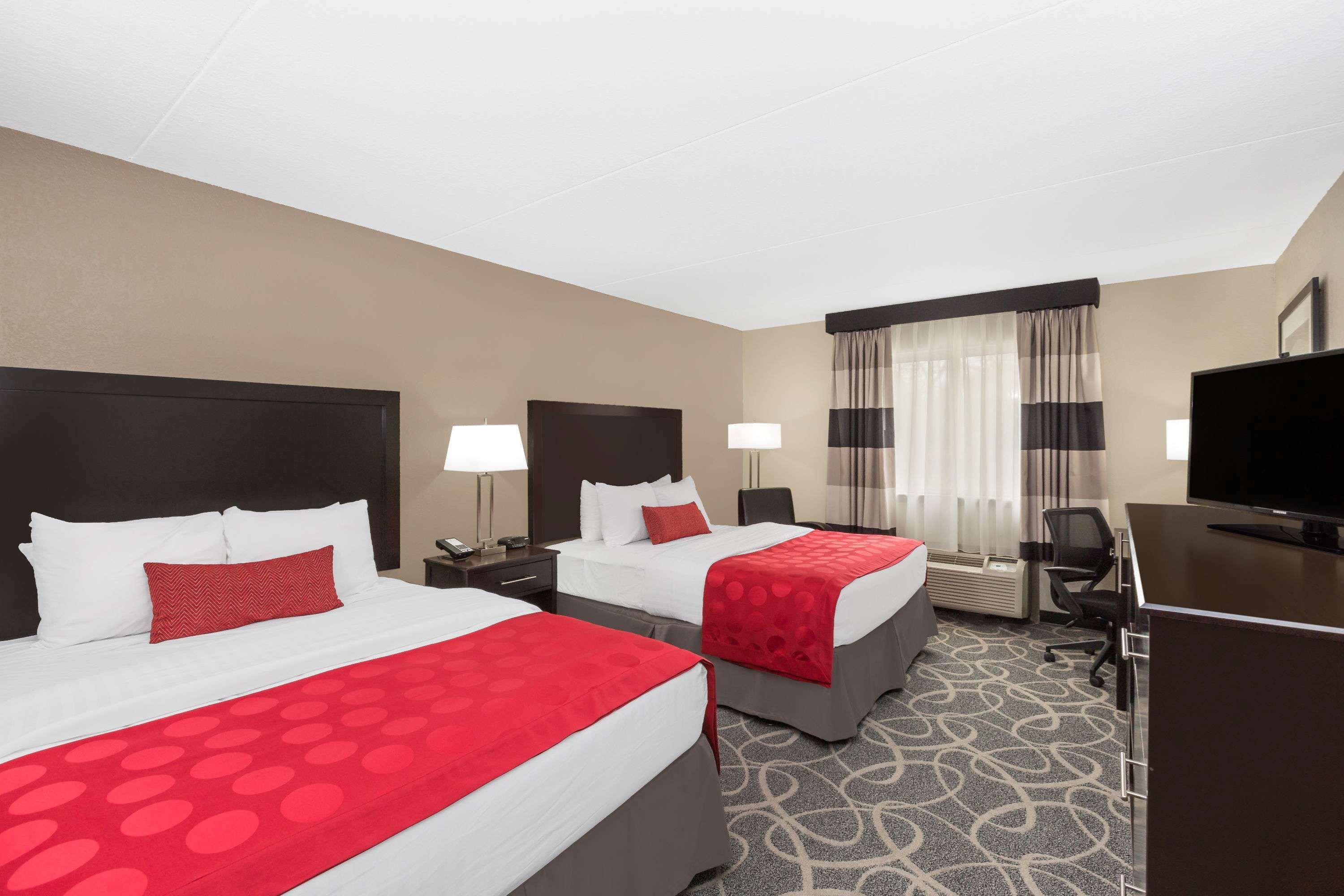 Room, Quadruple, 2 Queen Beds