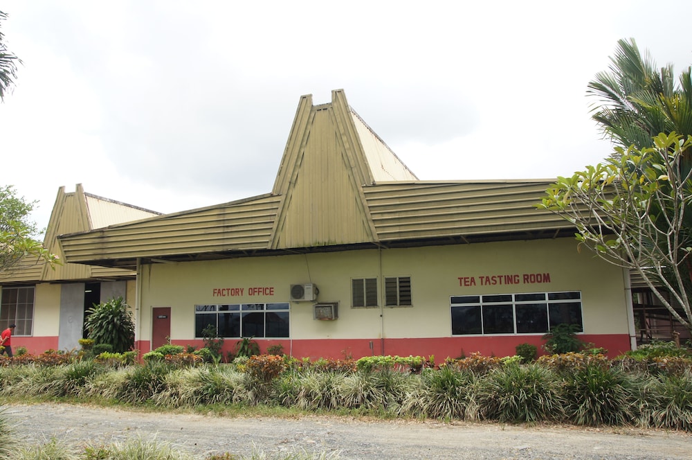 Sabah Tea Garden 8/70