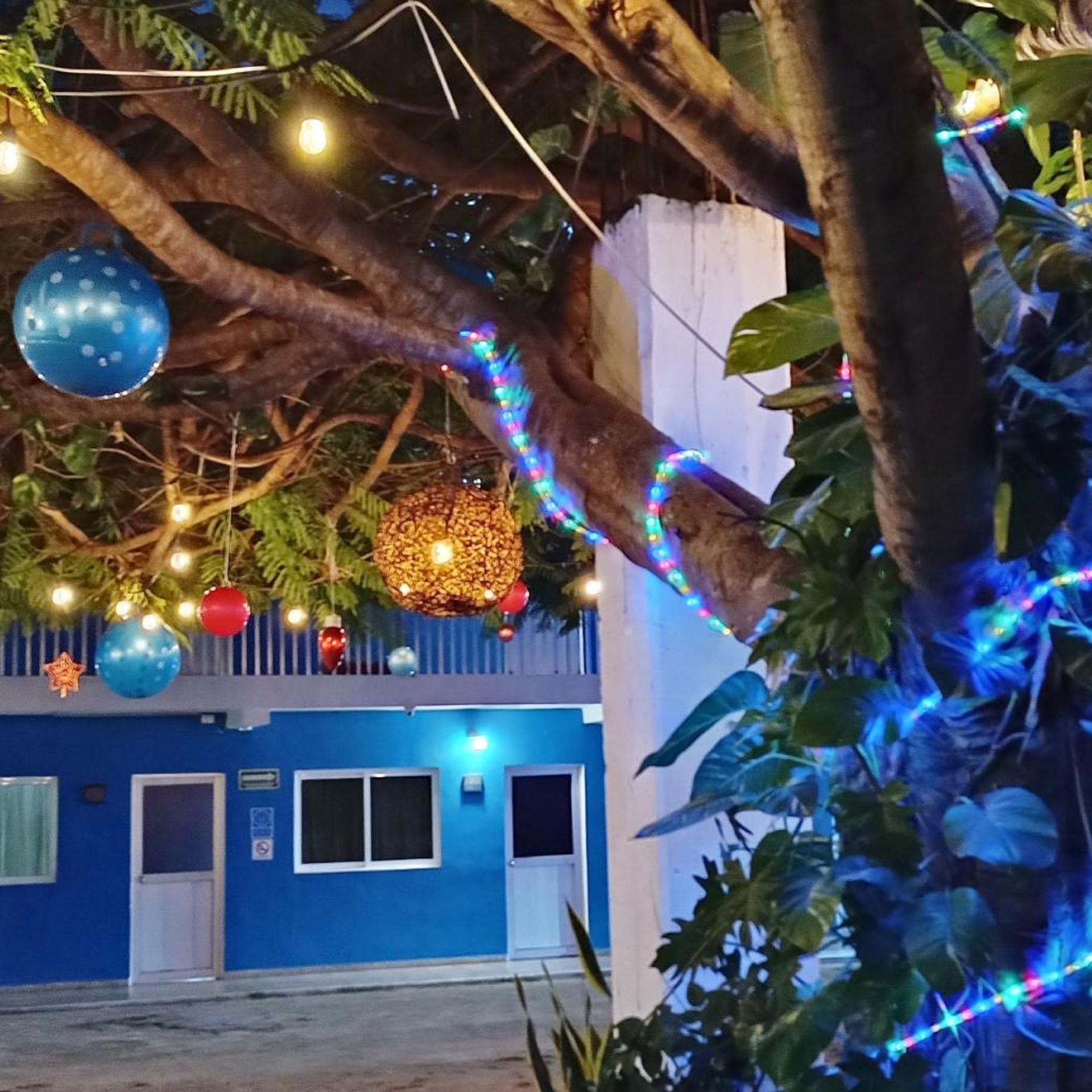 Blue Coconut Cancun 8/52