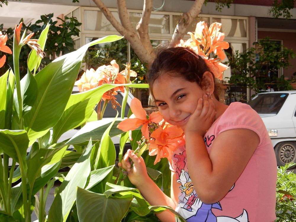 Aysev Hotel 8/42