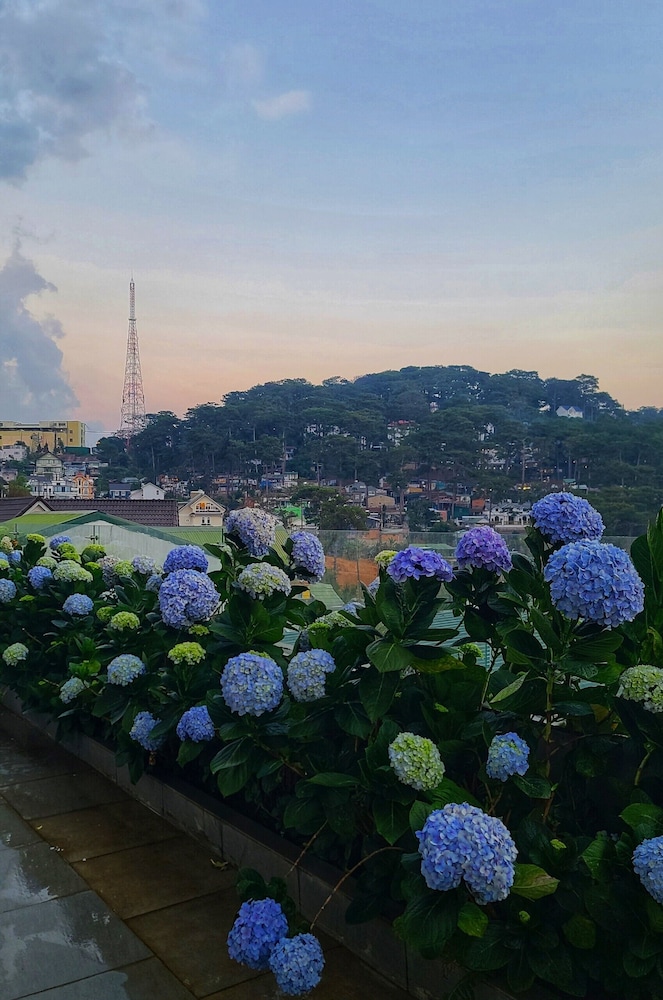 The Luxe Hotel Da Lat 70/76