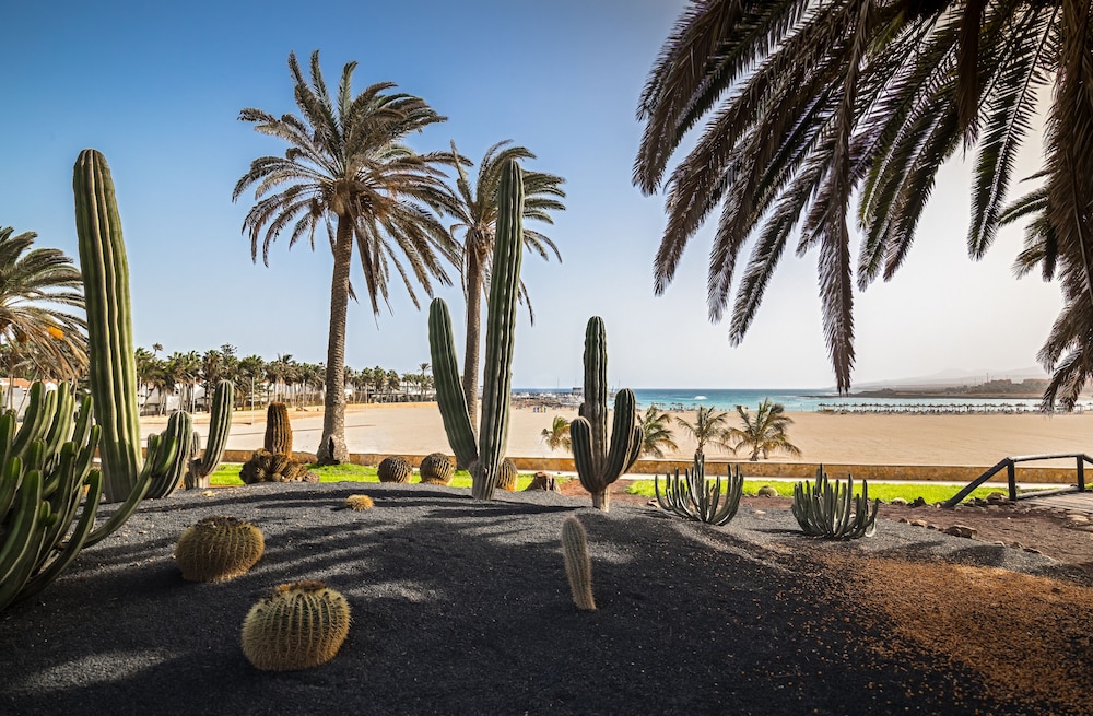 Barcelo Fuerteventura Royal Level - Adults Only 111/120