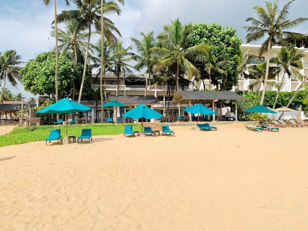 Suite Lanka 43/50