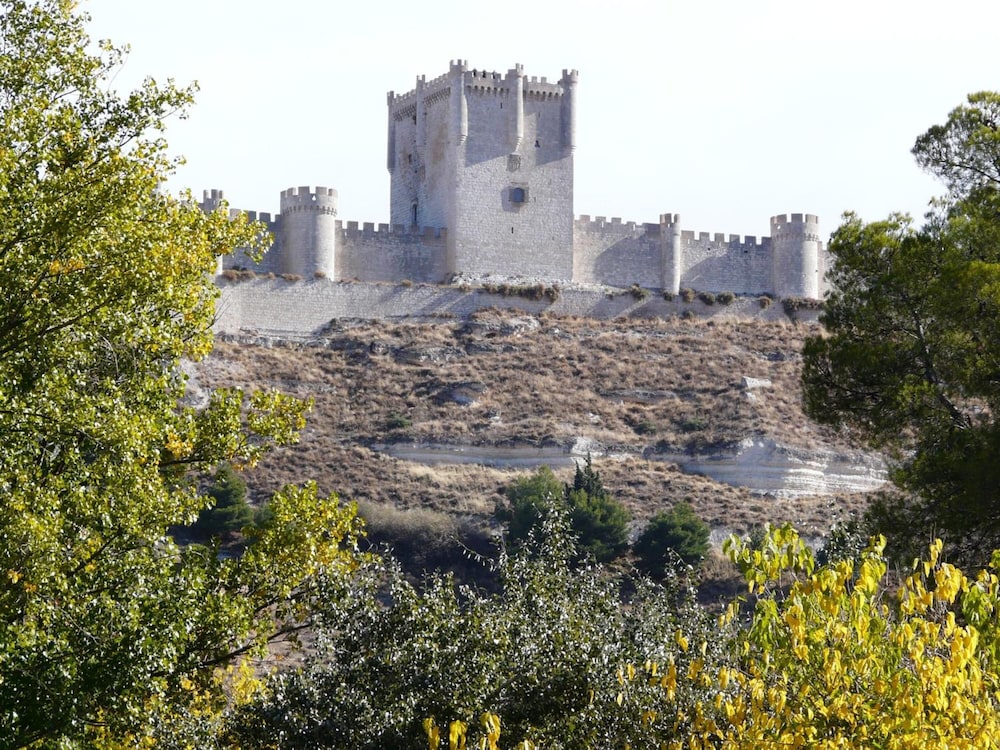 AZZ Penafiel Las Claras 41/50