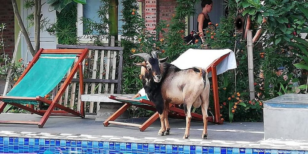 Ninh Binh Greenland Homestay 25/50