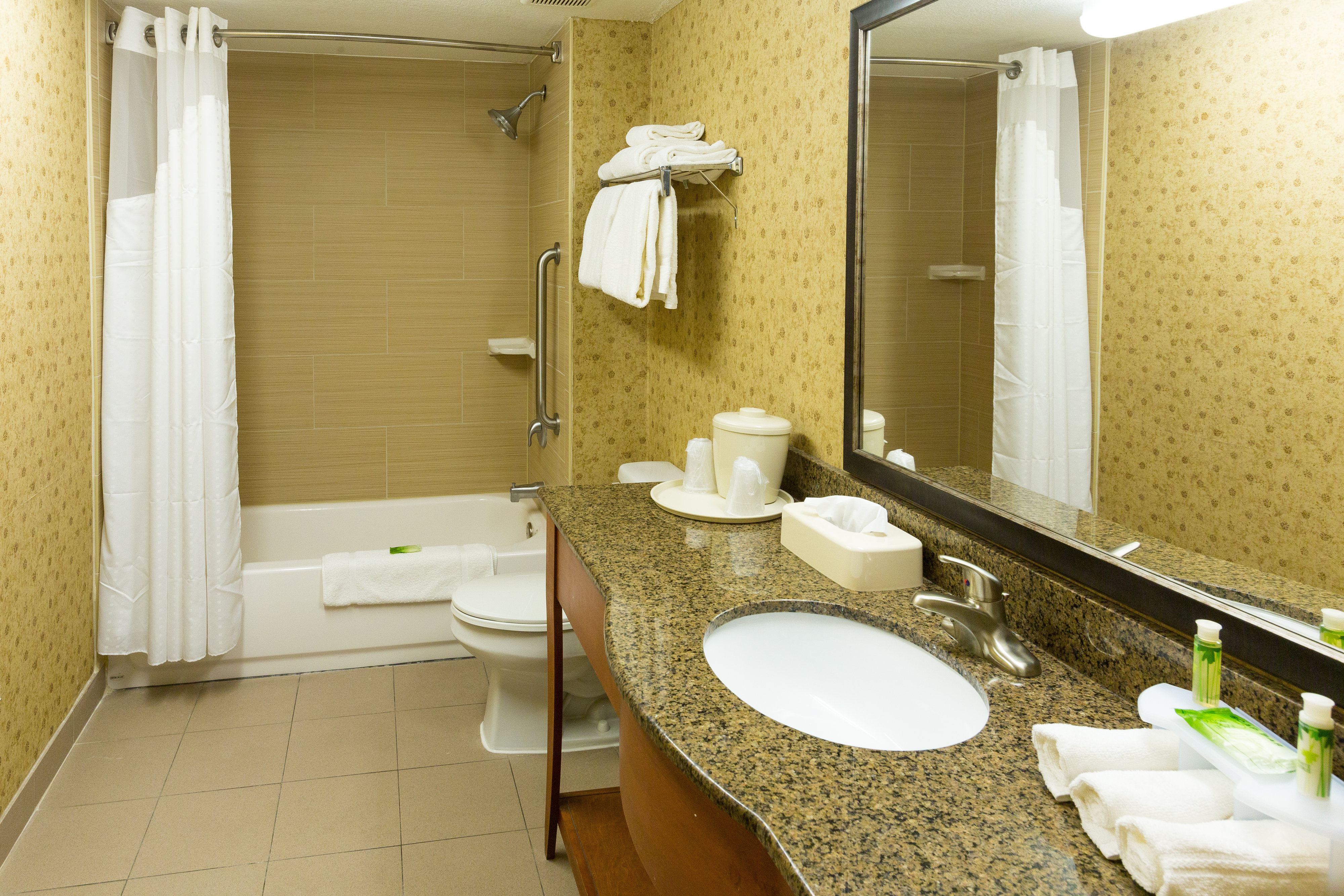 Holiday Inn Express Suites Jacksonville Airport 61/63