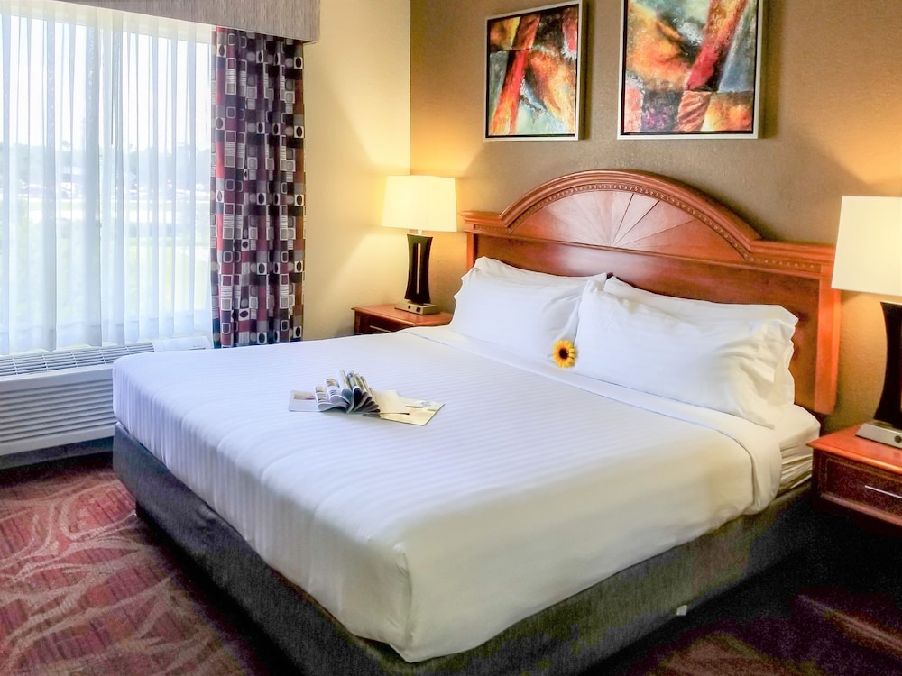 Holiday Inn Express Hotel And Suites Orange City 29/63
