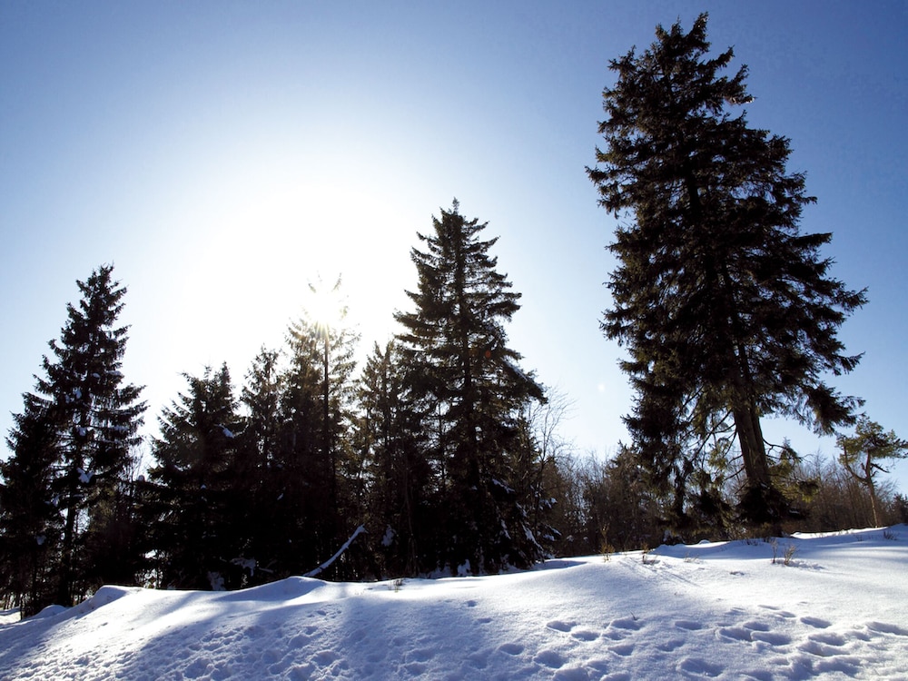 Avital Resort Winterberg 43/50