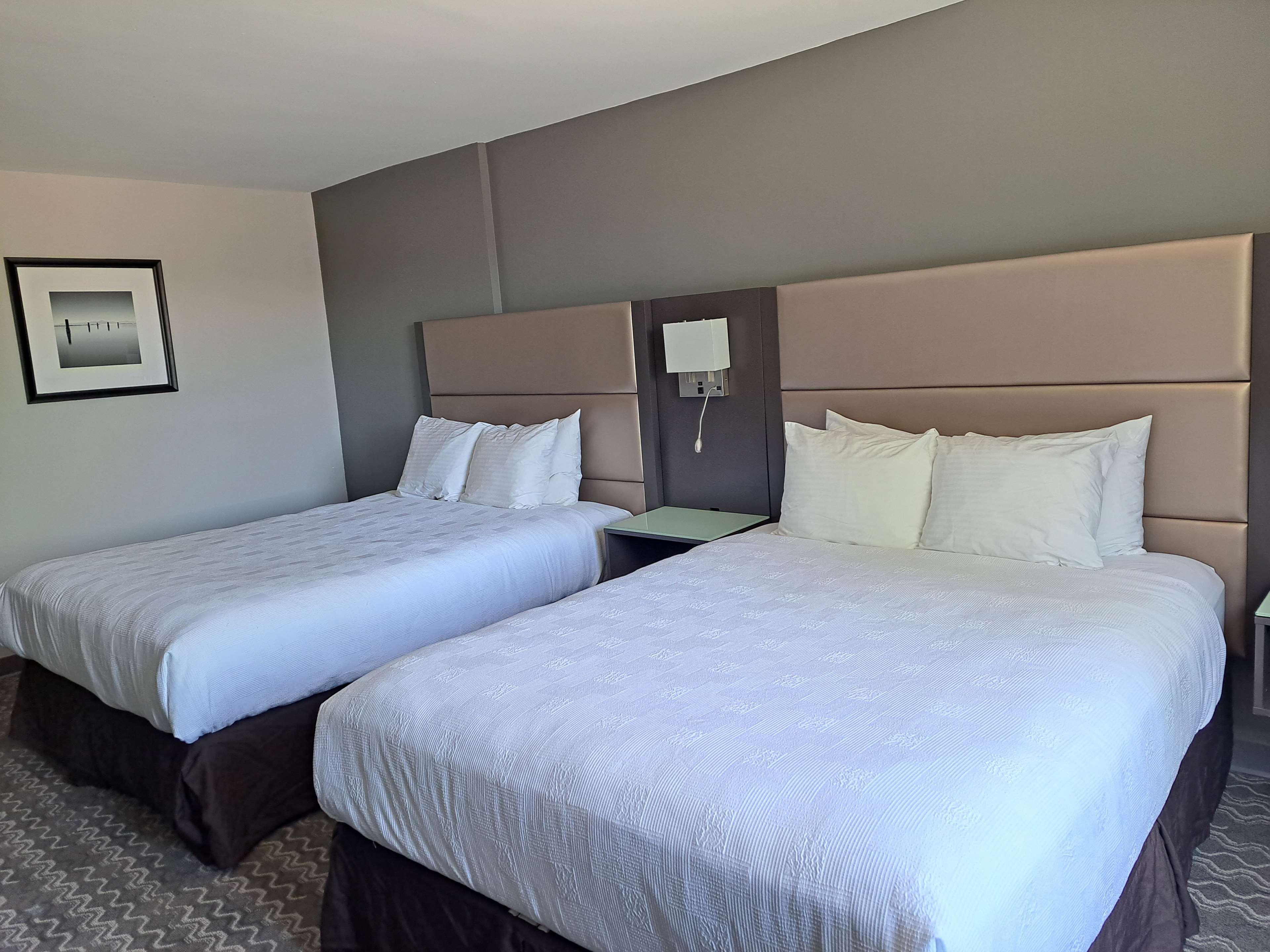 Room, 2 Queen Beds