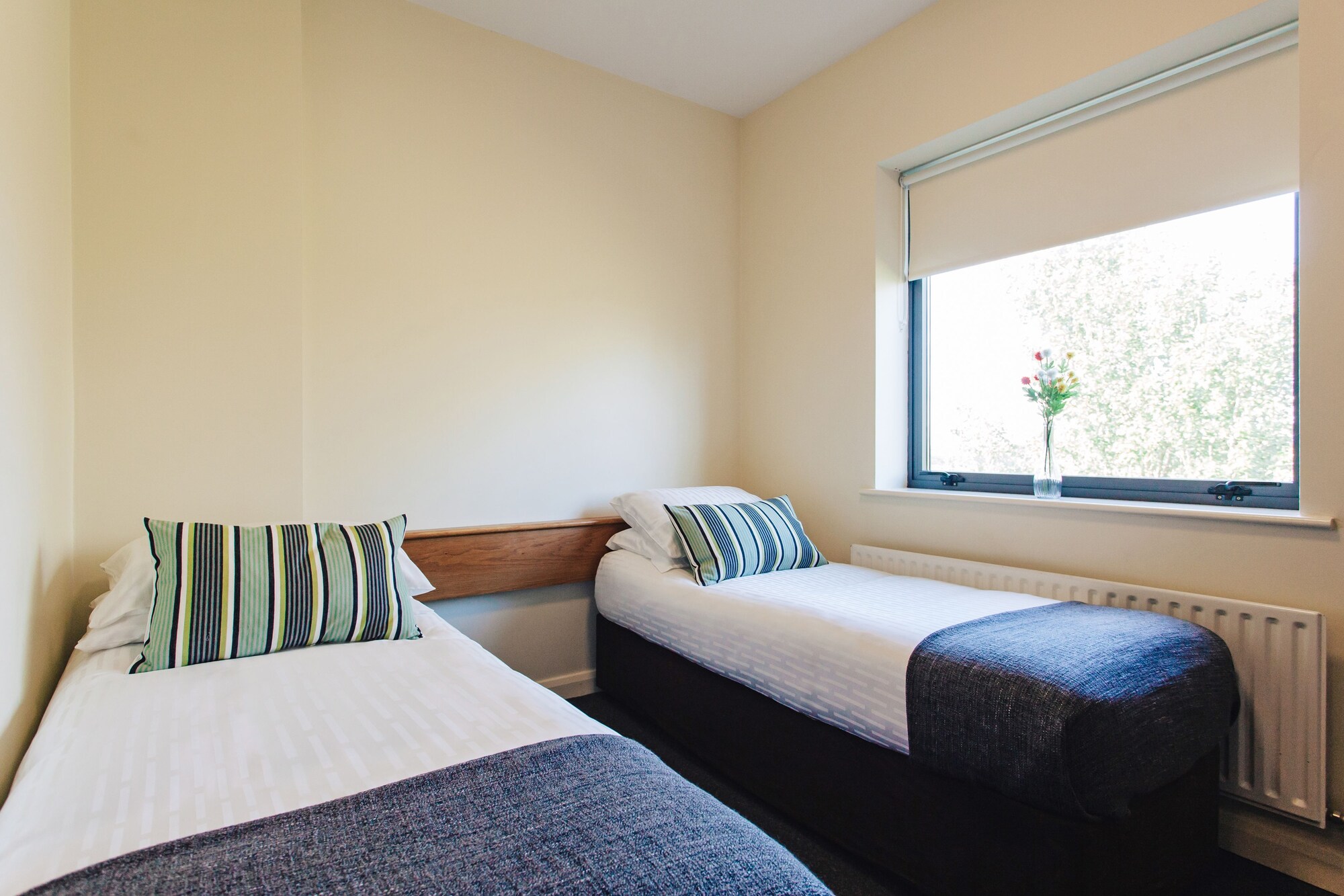 STANDARD, TWIN BEDS