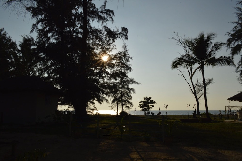 Micky Monkey Beach Hotel 36/50
