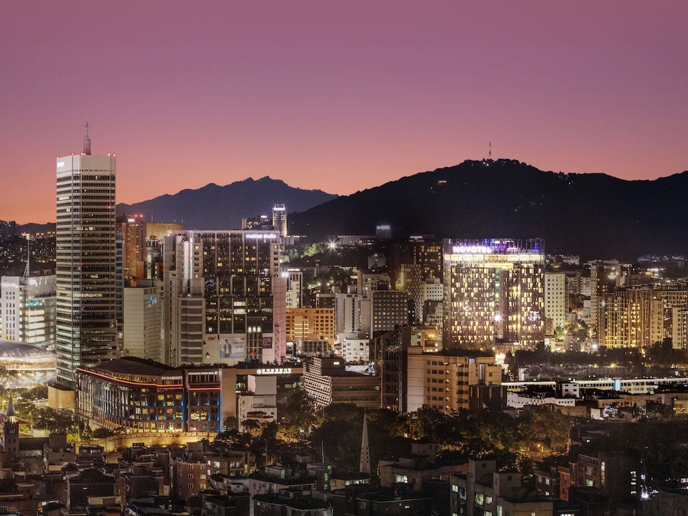 Novotel Ambassador Seoul Dongdaemun Hotels and Residences 71/75
