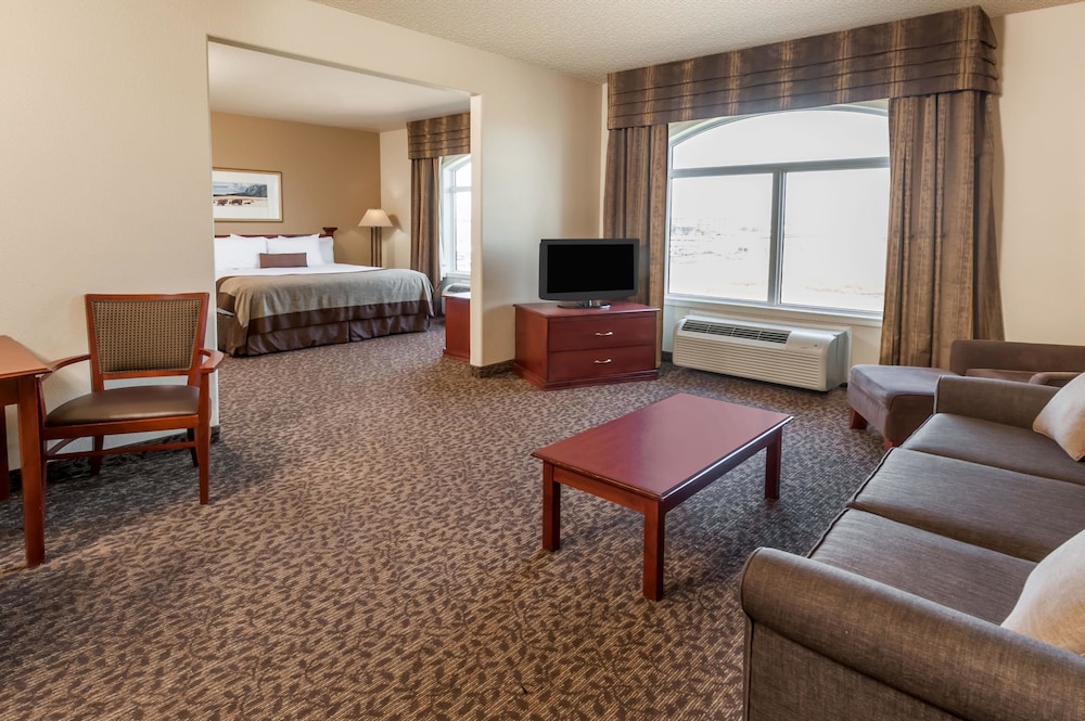 Wingate by Wyndham Edmonton West 18/31