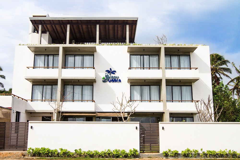 Lazy Koala Hostel - Adults Only 1/36