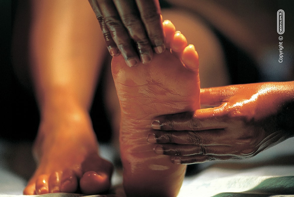 Siddhalepa Ayurveda Health Resort 18/50
