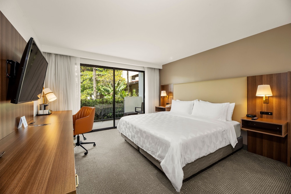 Holiday Inn San Jose La Sabana an IHG Hotel 14/47