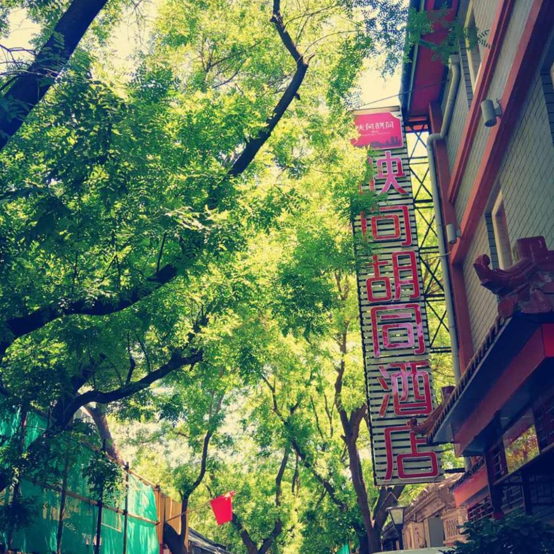 Dragon King Hostel 60/70