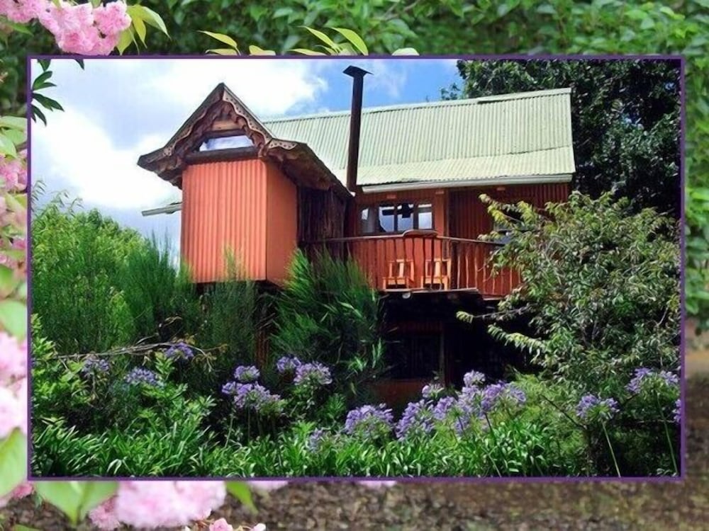 Sycamore Avenue Treehouses 2/50